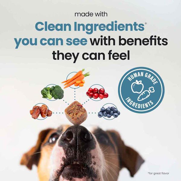 Skin & Allergy Aid (45 Chews)